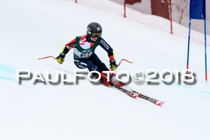 FIS, Int. Dt. Meisterschaft Super-G, NC,  Damen + Herren, 23.03.2018