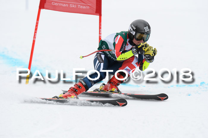 FIS, Int. Dt. Meisterschaft Super-G, NC,  Damen + Herren, 23.03.2018