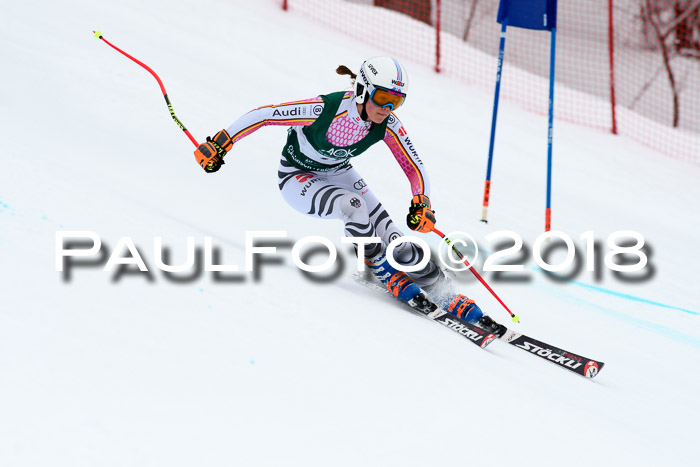 FIS, Int. Dt. Meisterschaft Super-G, NC,  Damen + Herren, 23.03.2018