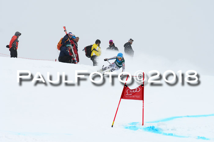FIS, Int. Dt. Meisterschaft Super-G, NC,  Damen + Herren, 23.03.2018