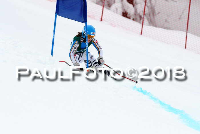 FIS, Int. Dt. Meisterschaft Super-G, NC,  Damen + Herren, 23.03.2018