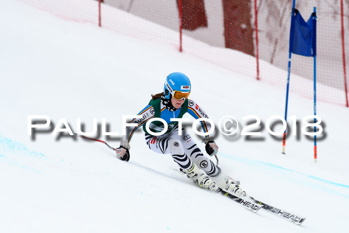 FIS, Int. Dt. Meisterschaft Super-G, NC,  Damen + Herren, 23.03.2018