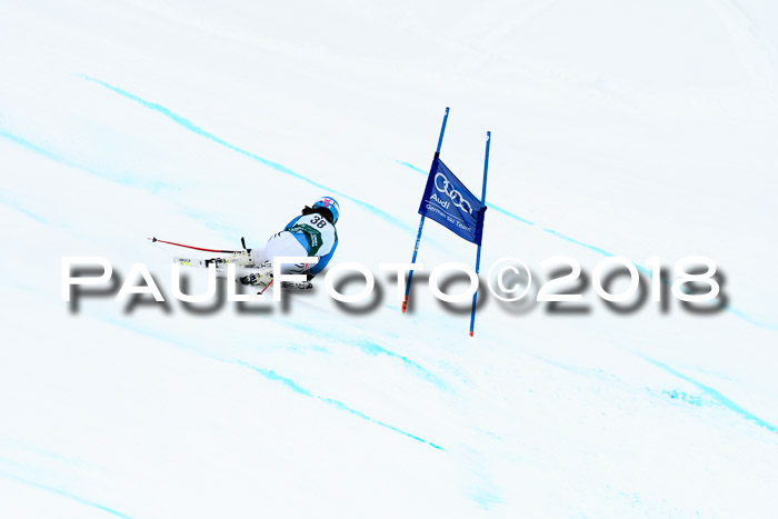 FIS, Int. Dt. Meisterschaft Super-G, NC,  Damen + Herren, 23.03.2018