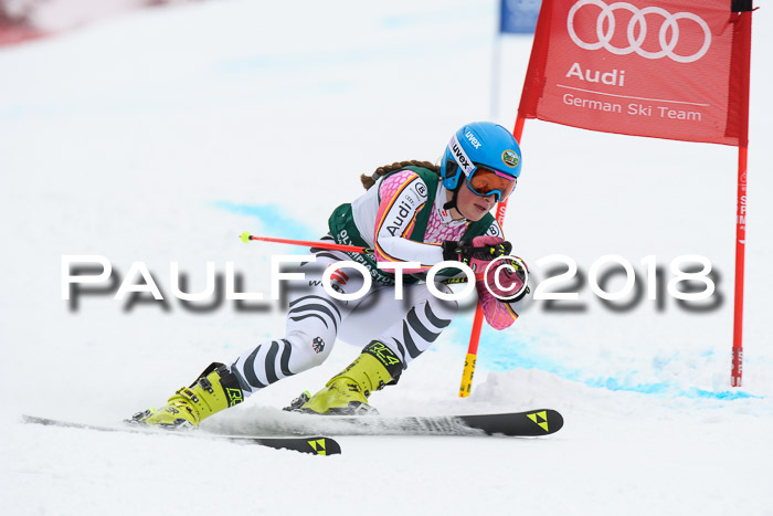 FIS, Int. Dt. Meisterschaft Super-G, NC,  Damen + Herren, 23.03.2018