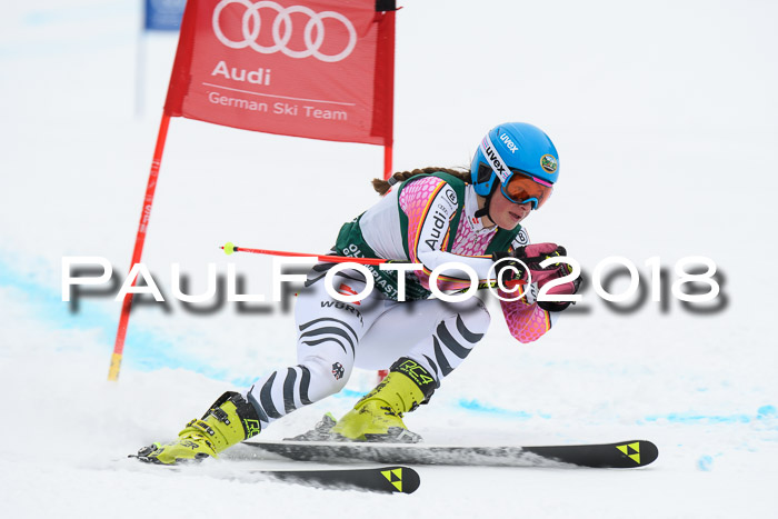 FIS, Int. Dt. Meisterschaft Super-G, NC,  Damen + Herren, 23.03.2018