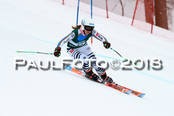 FIS, Int. Dt. Meisterschaft Super-G, NC,  Damen + Herren, 23.03.2018