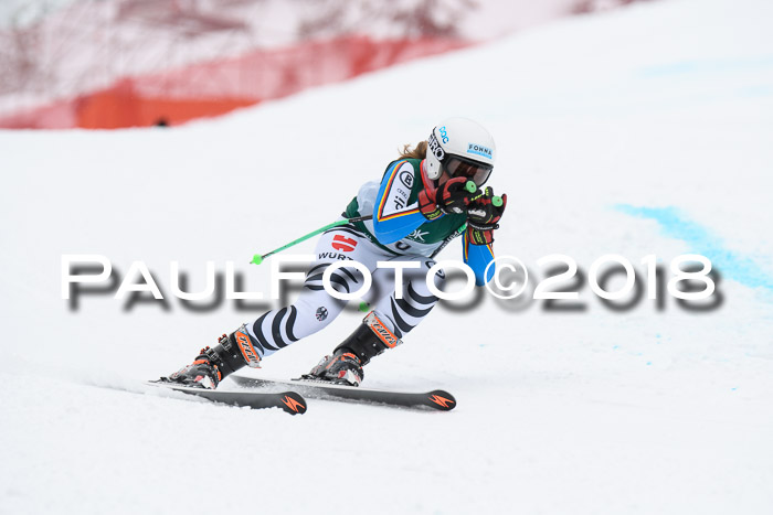 FIS, Int. Dt. Meisterschaft Super-G, NC,  Damen + Herren, 23.03.2018