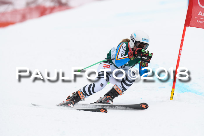 FIS, Int. Dt. Meisterschaft Super-G, NC,  Damen + Herren, 23.03.2018