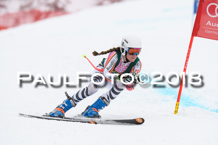 FIS, Int. Dt. Meisterschaft Super-G, NC,  Damen + Herren, 23.03.2018