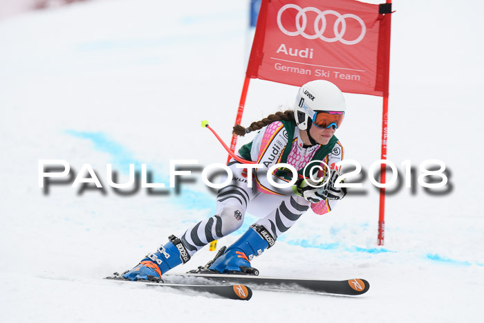 FIS, Int. Dt. Meisterschaft Super-G, NC,  Damen + Herren, 23.03.2018