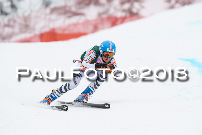 FIS, Int. Dt. Meisterschaft Super-G, NC,  Damen + Herren, 23.03.2018