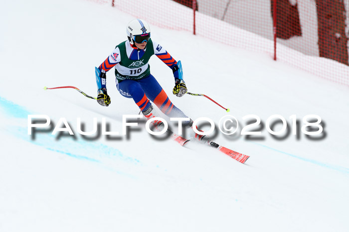 FIS, Int. Dt. Meisterschaft Super-G, NC,  Damen + Herren, 23.03.2018