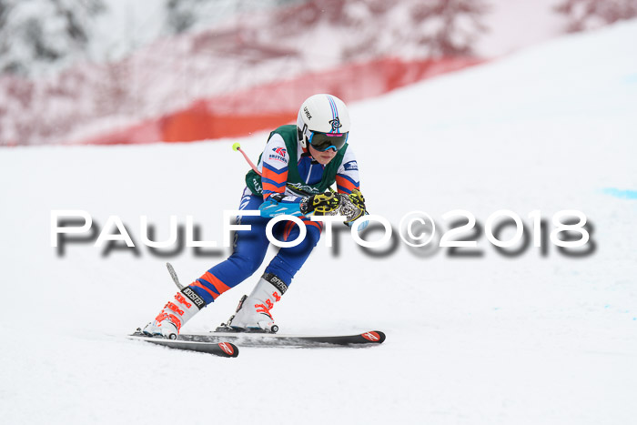FIS, Int. Dt. Meisterschaft Super-G, NC,  Damen + Herren, 23.03.2018