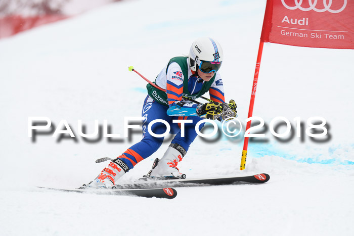 FIS, Int. Dt. Meisterschaft Super-G, NC,  Damen + Herren, 23.03.2018