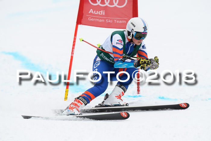 FIS, Int. Dt. Meisterschaft Super-G, NC,  Damen + Herren, 23.03.2018