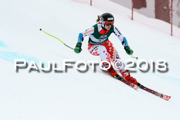 FIS, Int. Dt. Meisterschaft Super-G, NC,  Damen + Herren, 23.03.2018