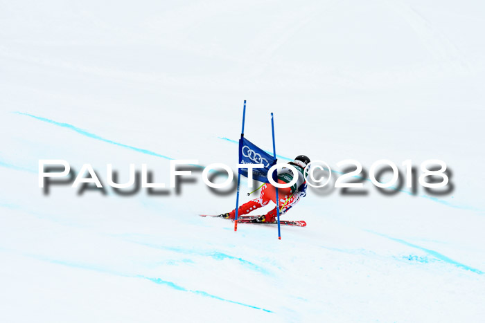 FIS, Int. Dt. Meisterschaft Super-G, NC,  Damen + Herren, 23.03.2018