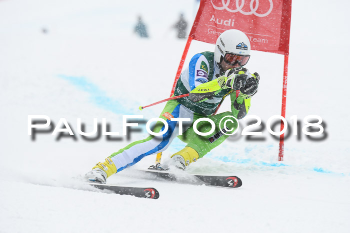 FIS, Int. Dt. Meisterschaft Super-G, NC,  Damen + Herren, 23.03.2018