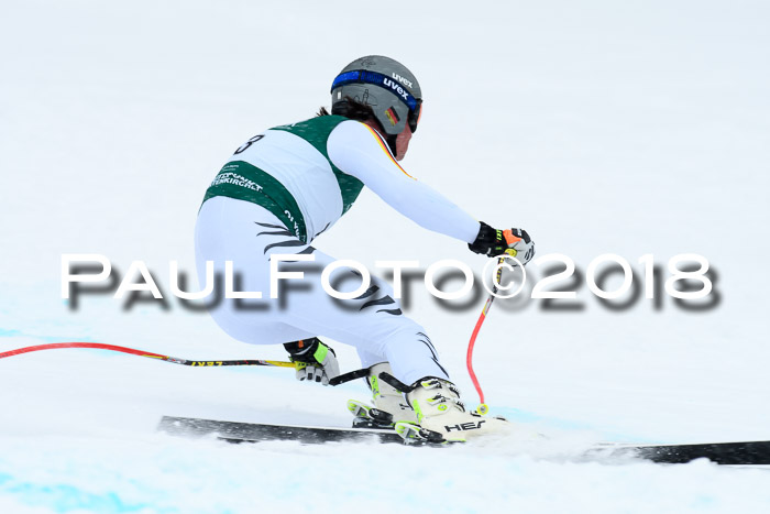 FIS, Int. Dt. Meisterschaft Super-G, NC,  Damen + Herren, 23.03.2018