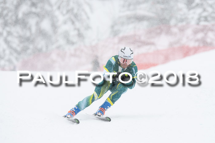FIS, Int. Dt. Meisterschaft Super-G, NC,  Damen + Herren, 23.03.2018