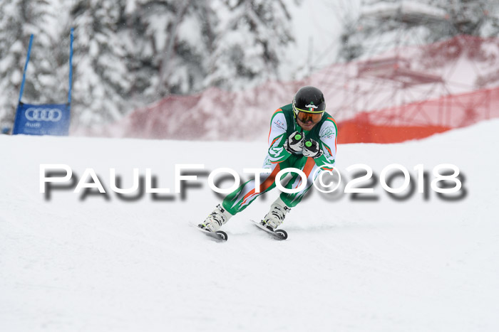FIS, Int. Dt. Meisterschaft Super-G, NC,  Damen + Herren, 23.03.2018