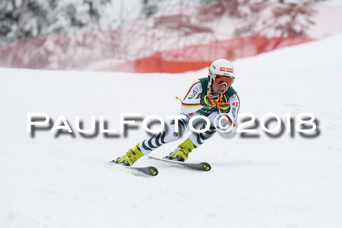 FIS, Int. Dt. Meisterschaft Super-G, NC,  Damen + Herren, 23.03.2018