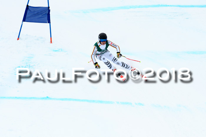FIS, Int. Dt. Meisterschaft Super-G, NC,  Damen + Herren, 23.03.2018