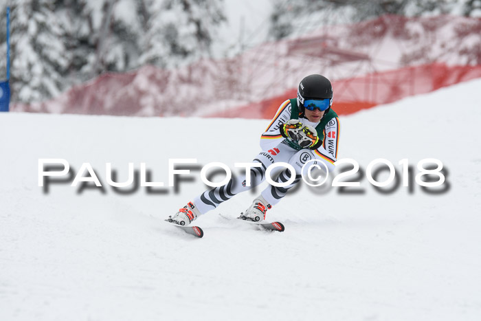 FIS, Int. Dt. Meisterschaft Super-G, NC,  Damen + Herren, 23.03.2018