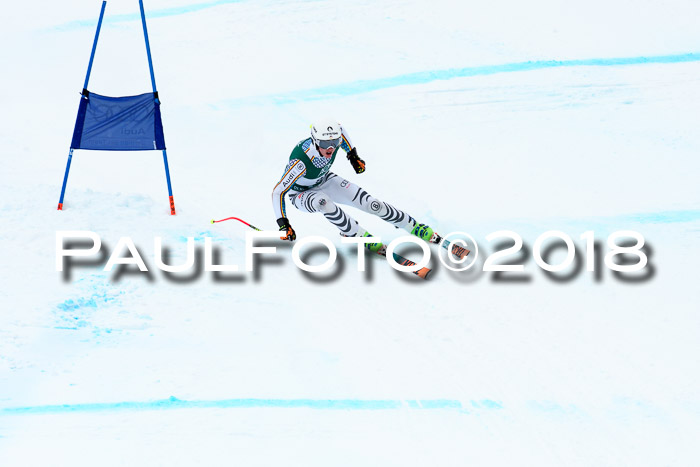 FIS, Int. Dt. Meisterschaft Super-G, NC,  Damen + Herren, 23.03.2018