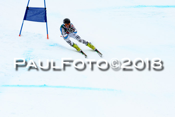 FIS, Int. Dt. Meisterschaft Super-G, NC,  Damen + Herren, 23.03.2018