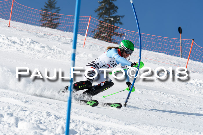 Int. Deutsche Meisterschaft Slalom 25.03.2018