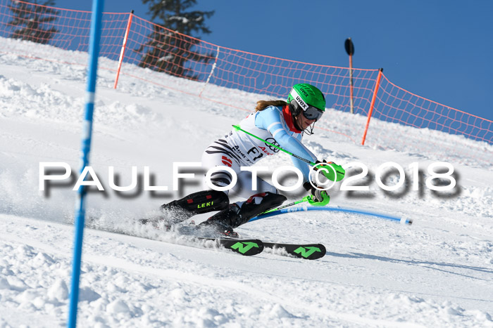 Int. Deutsche Meisterschaft Slalom 25.03.2018