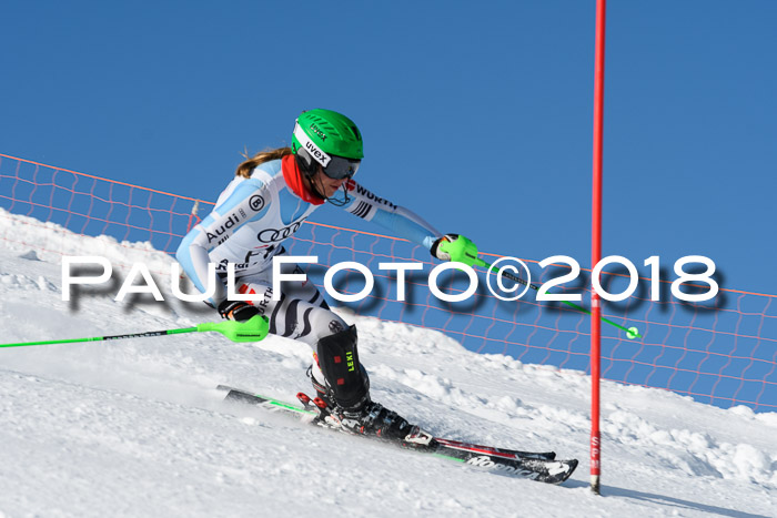 Int. Deutsche Meisterschaft Slalom 25.03.2018