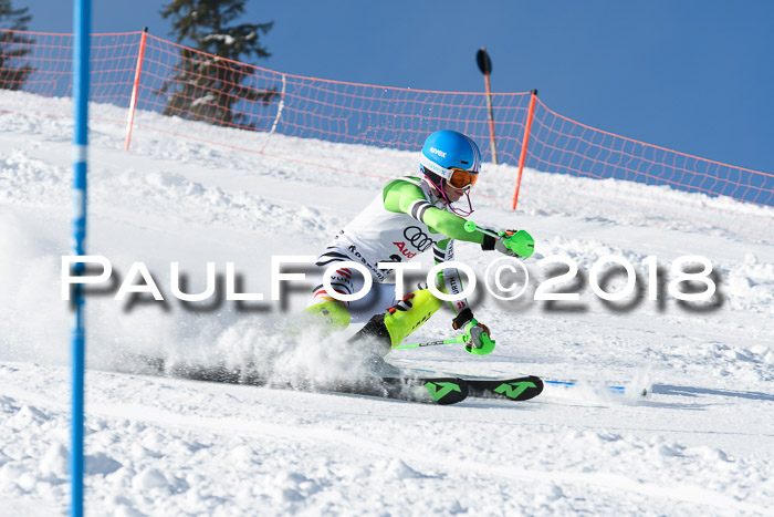 Int. Deutsche Meisterschaft Slalom 25.03.2018