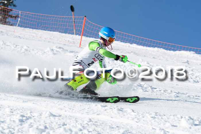 Int. Deutsche Meisterschaft Slalom 25.03.2018