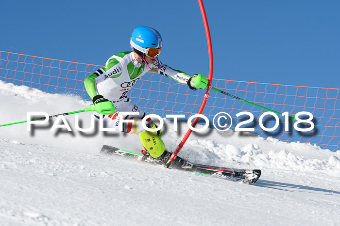 Int. Deutsche Meisterschaft Slalom 25.03.2018