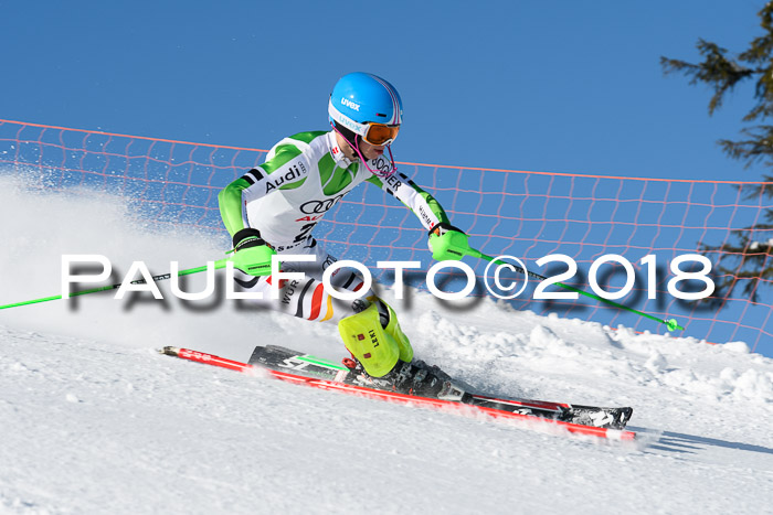 Int. Deutsche Meisterschaft Slalom 25.03.2018