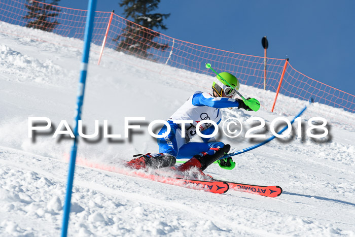 Int. Deutsche Meisterschaft Slalom 25.03.2018