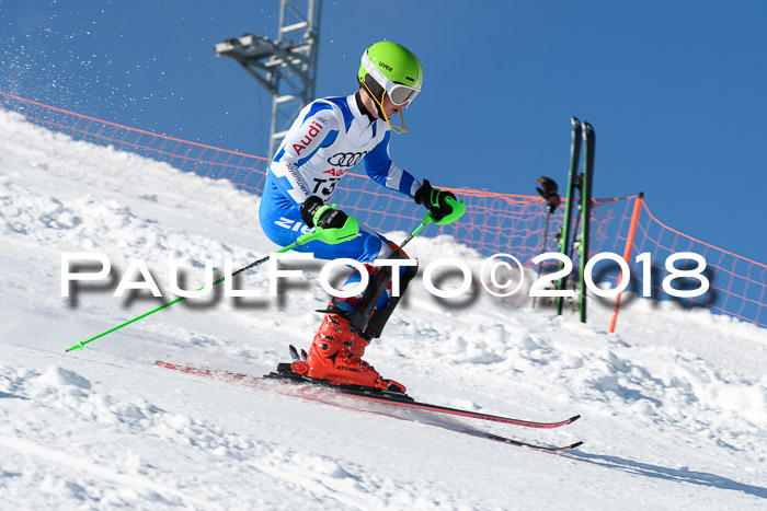 Int. Deutsche Meisterschaft Slalom 25.03.2018