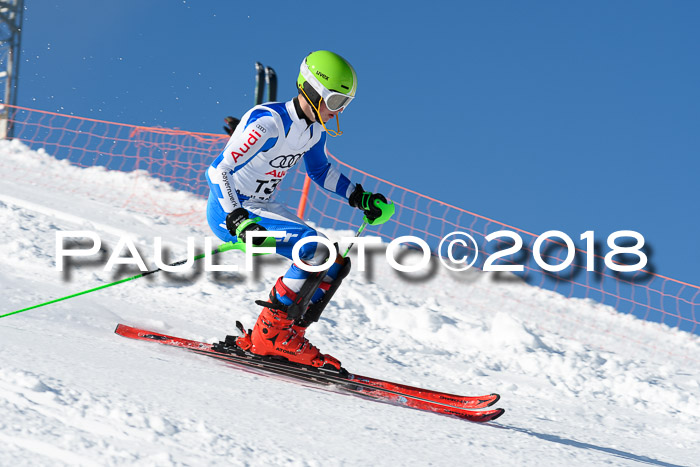 Int. Deutsche Meisterschaft Slalom 25.03.2018