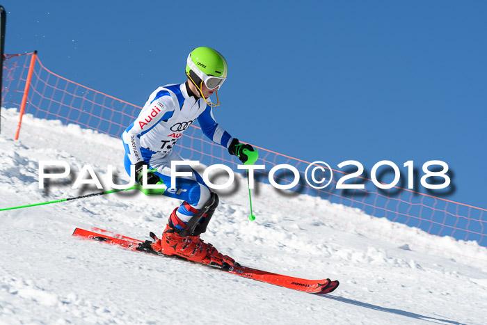 Int. Deutsche Meisterschaft Slalom 25.03.2018