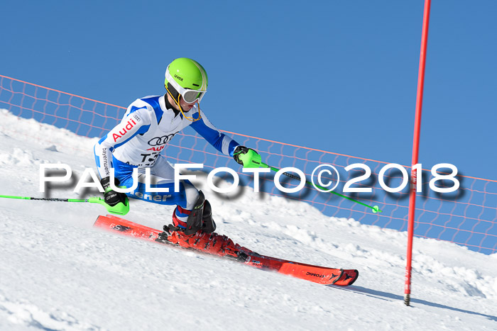 Int. Deutsche Meisterschaft Slalom 25.03.2018