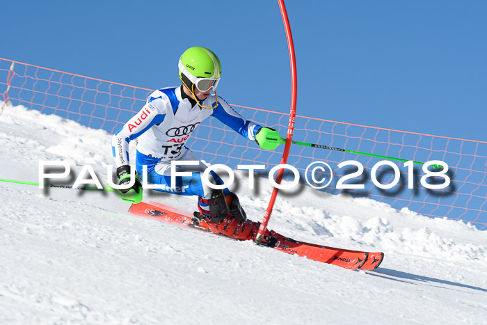 Int. Deutsche Meisterschaft Slalom 25.03.2018