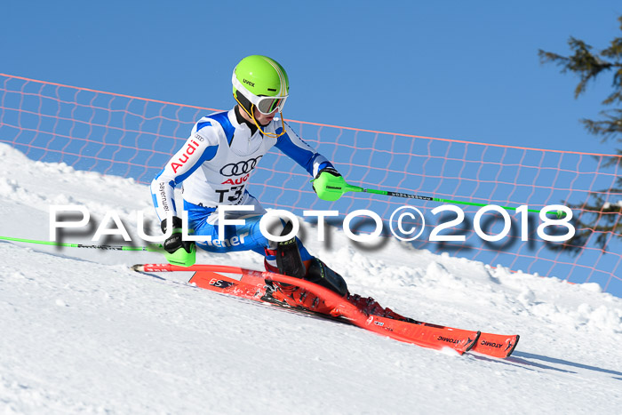 Int. Deutsche Meisterschaft Slalom 25.03.2018