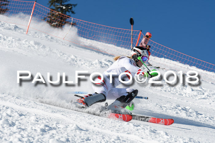 Int. Deutsche Meisterschaft Slalom 25.03.2018