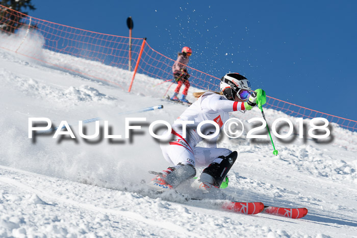 Int. Deutsche Meisterschaft Slalom 25.03.2018