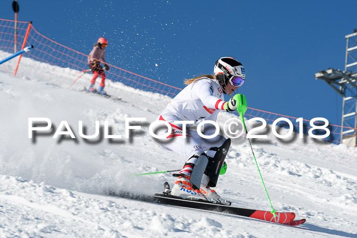 Int. Deutsche Meisterschaft Slalom 25.03.2018