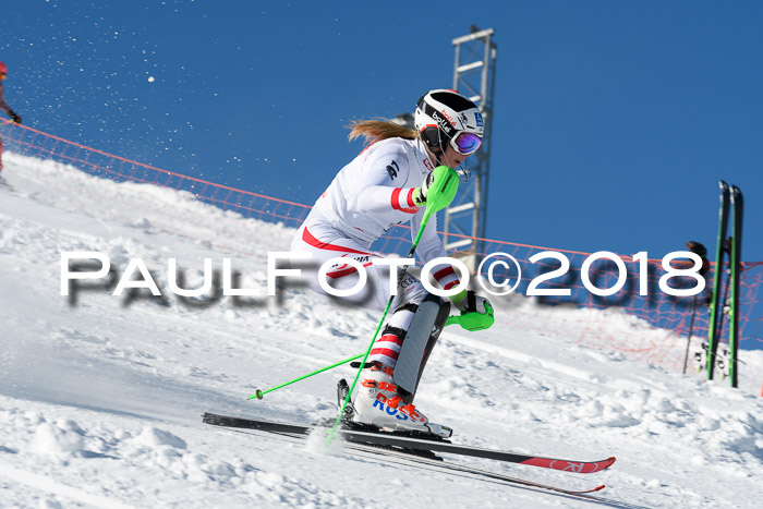 Int. Deutsche Meisterschaft Slalom 25.03.2018