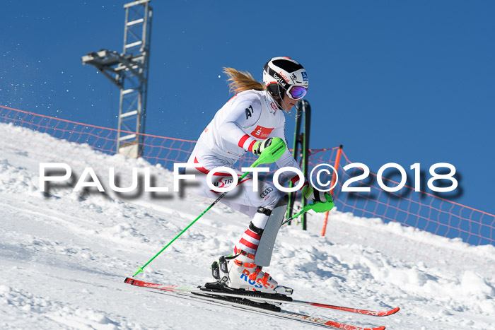 Int. Deutsche Meisterschaft Slalom 25.03.2018