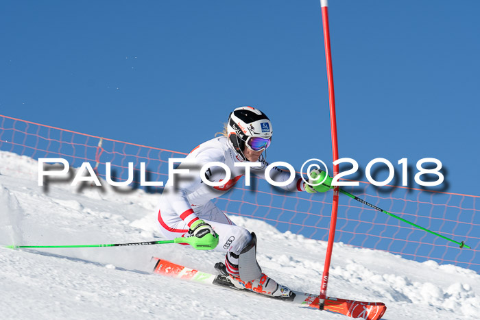 Int. Deutsche Meisterschaft Slalom 25.03.2018